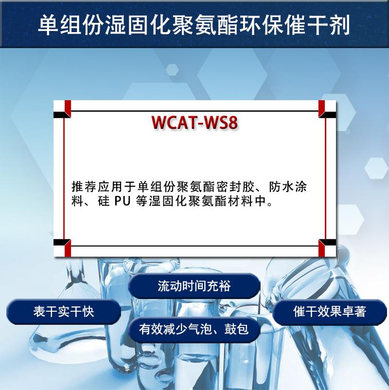 WCAT-WS8详1.jpg