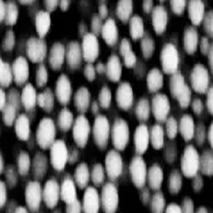 巯基化磁珠，Thiolated Magnetic Beads