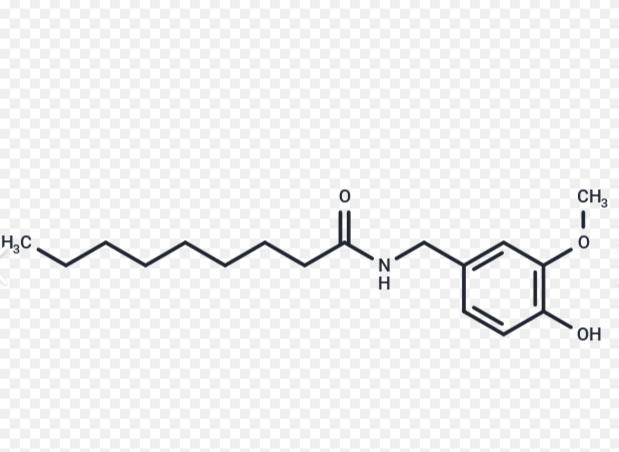 FITC-辣椒素，FITC-Nonivamide，异硫氰酸荧光素标记辣椒碱