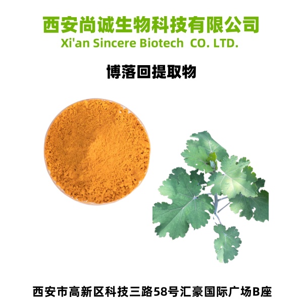 博落回提取物 博落回棕生物碱 尚诚生物