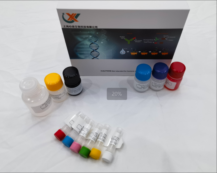 鸡睫状神经营养因子(CNTF) ELISA试剂盒