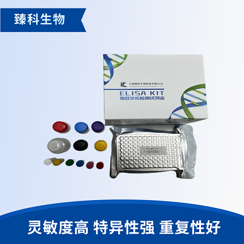 人肺表面活性物质相关蛋白D(SP-D）elisa测定试剂盒