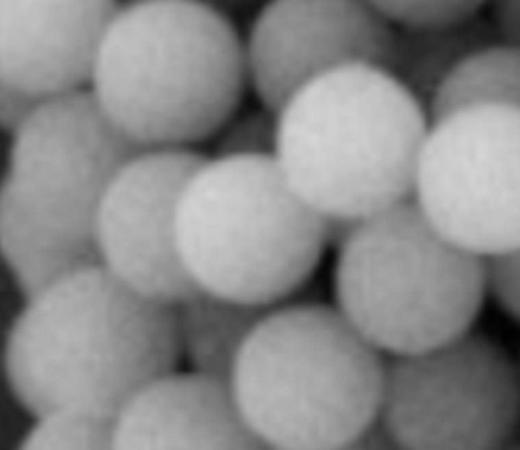 氨基单分散二氧化硅微球，Monodisperse SiO2-NH2 microspheres