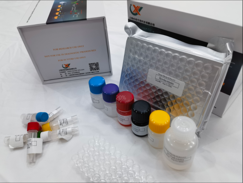 鸡基质金属蛋白酶13(MMP13) ELISA试剂盒