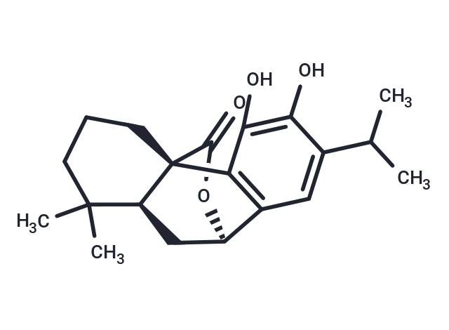 鼠尾草酚|T6S1302|TargetMol