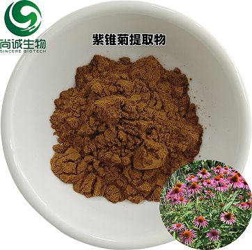 紫锥菊提取物 尚诚生物