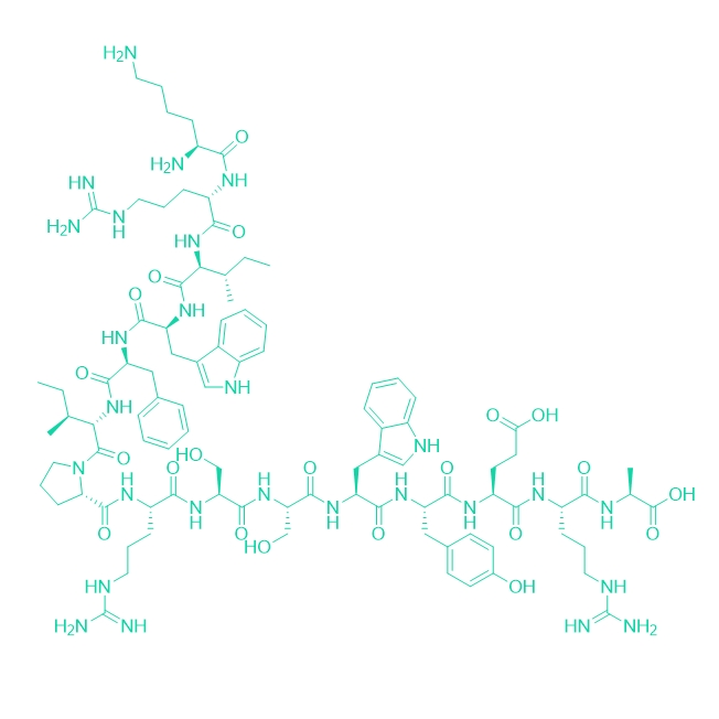 抑制肽P17 Peptide/846546-36-9/P17 Peptide