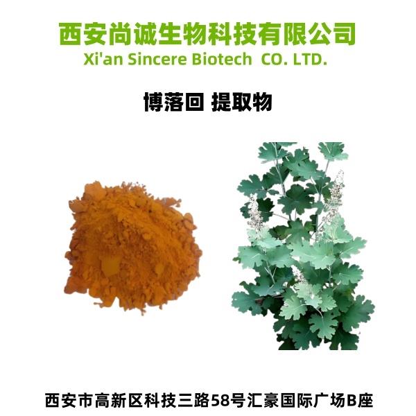 博落回提取物1.jpg 博落回提取物1.jpg