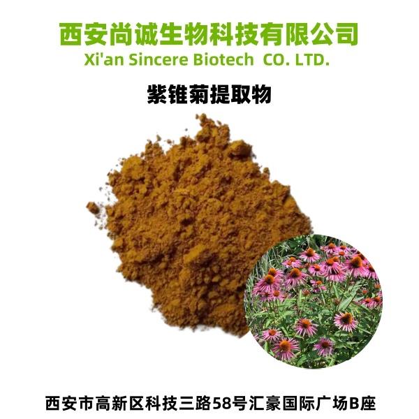 紫锥菊提取物1.jpg