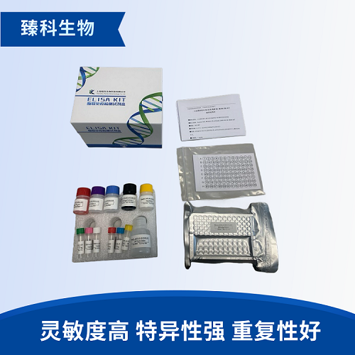 大鼠血小板衍生生长因子BB(PDGF-BB)elisa试剂盒