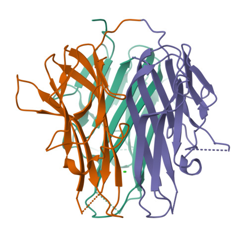猴TL1A / TNFSF15蛋白, His Tag (MALS verified)