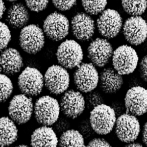 聚乳酸-羟基乙酸共聚物磁性微球，PLGA磁性微球