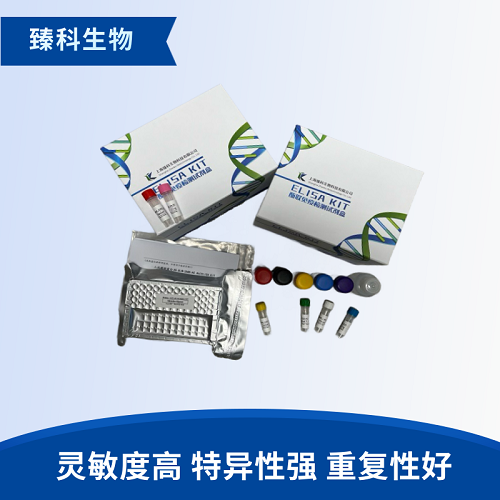 大鼠甲基化酶(Methylase）elisa试剂盒