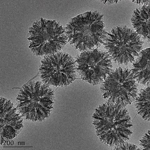 单分散中空介孔碳球，Monodisperse Hollow Mesoporous Carbon Spheres