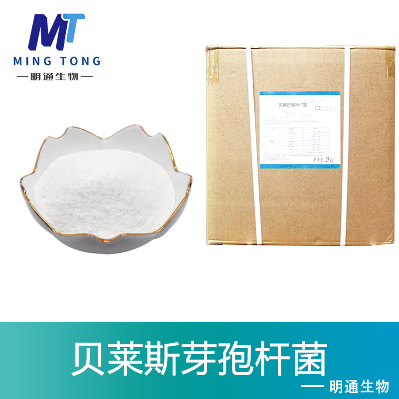 贝莱斯芽孢杆菌