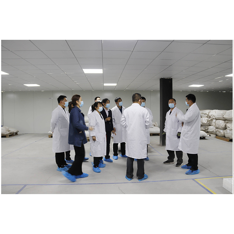 多聚脱氧核糖核苷酸