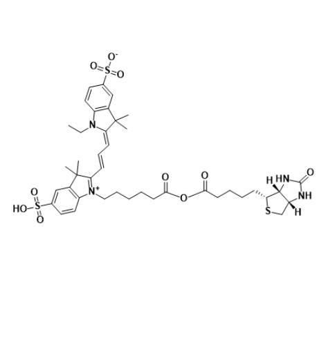 CY3-生物素，Cy3-Biotin，花菁素 CY3 - 生物素，Cyanine3-labeled Biotin