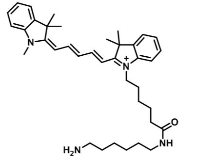 Cy5-丹酚酸b，CY5-SalvianolicacidB，花青素 CY5 - 丹酚酸 B，Cy5-labeled Salvianolic acid B