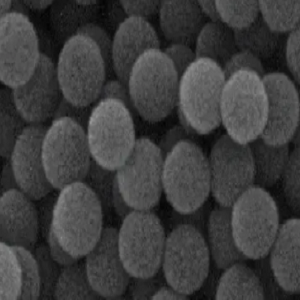 Ni-NTA修饰聚苯乙烯微球，Ni-NTA-modified Polystyrene Microspheres