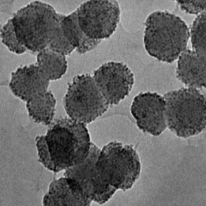 聚多巴胺修饰四氧化三铁磁珠,PDA修饰Fe3O4 Magnetic Beads