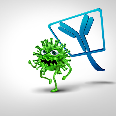 人ErbB3 / Her3蛋白, His, Avitag