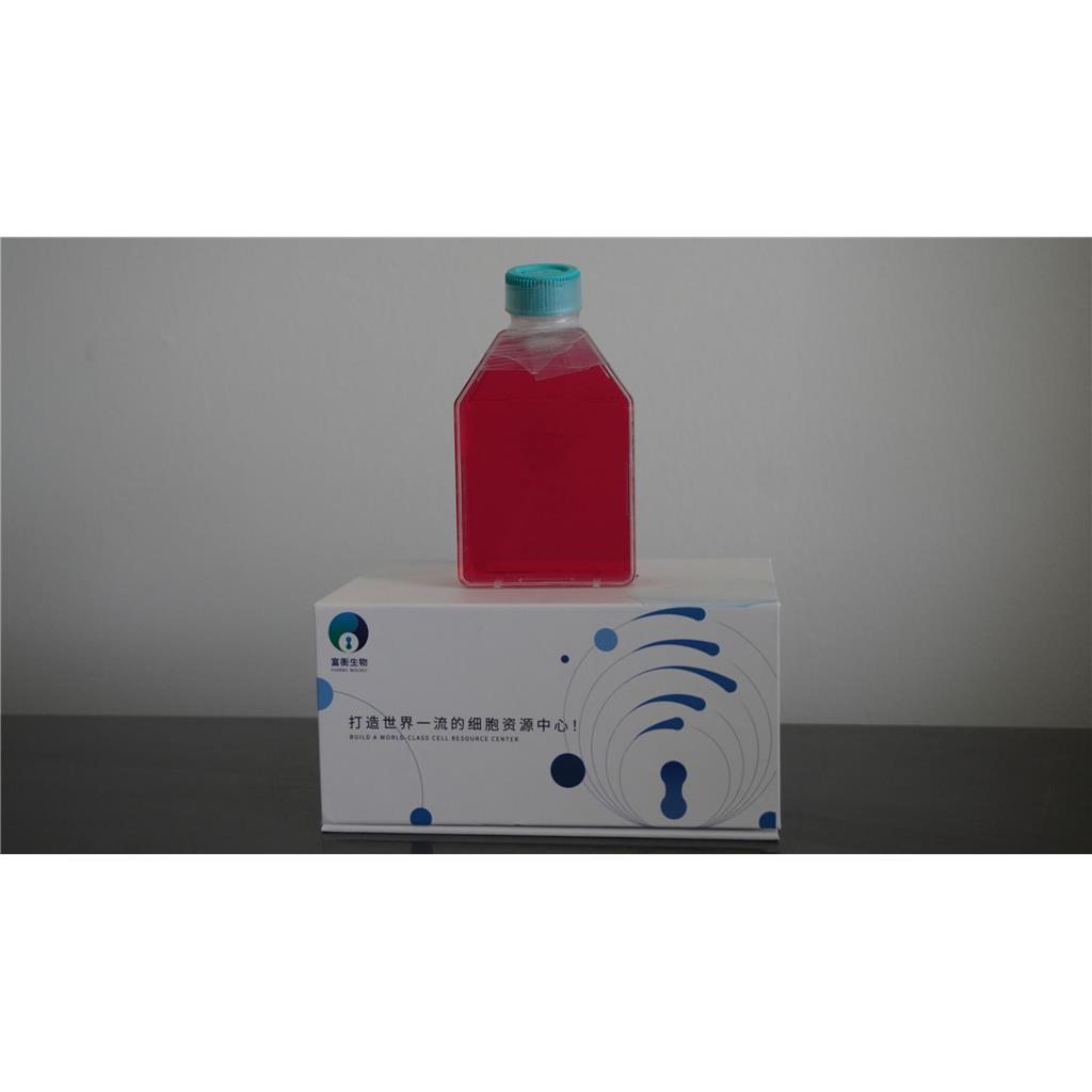 小鼠胚胎成骨细胞前体细胞；MC3T3-E1(种属鉴定)