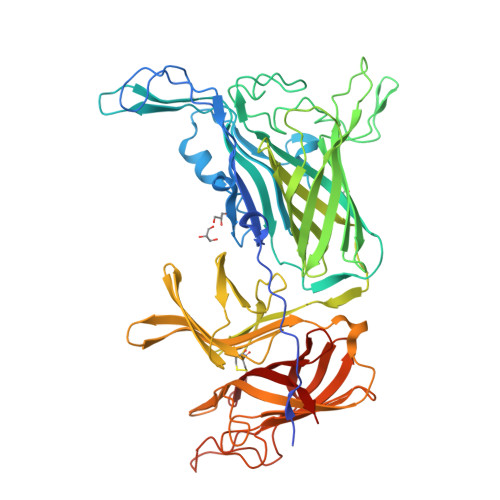 重组人Transferrin蛋白, premium grade