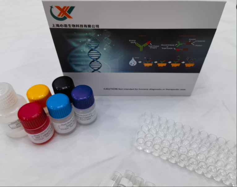 植物酸性蔗糖转化酶（acid invertase）ELISA试剂盒