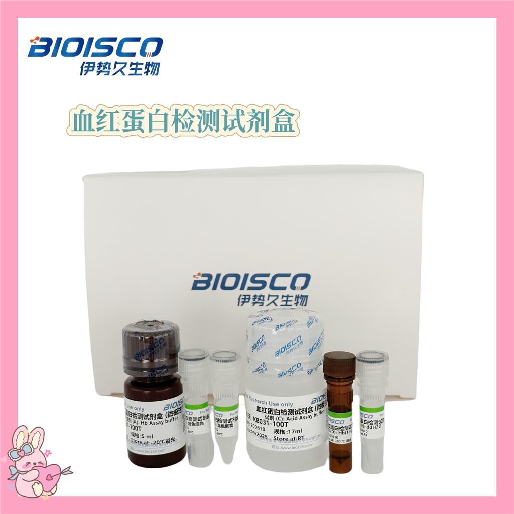 血红蛋白检测试剂盒