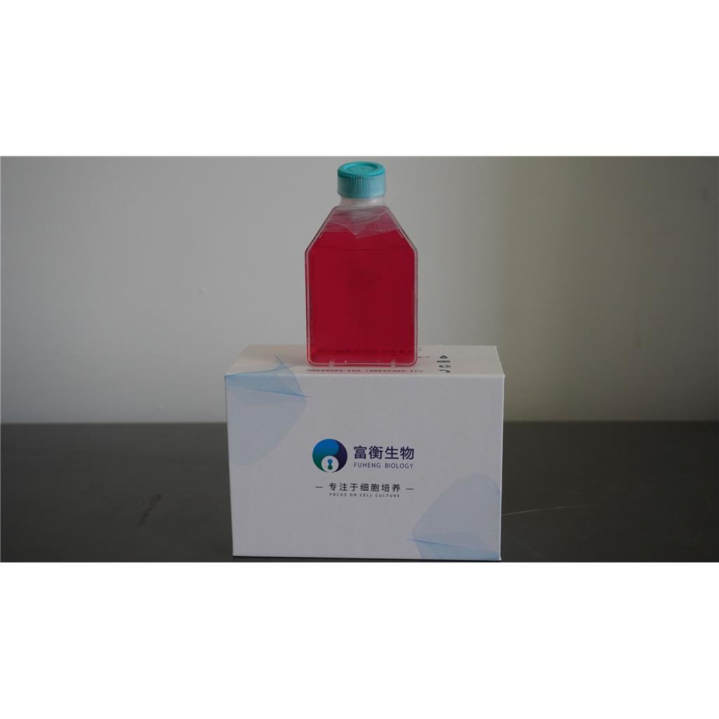 人原髓细胞白血病细胞；HL-60