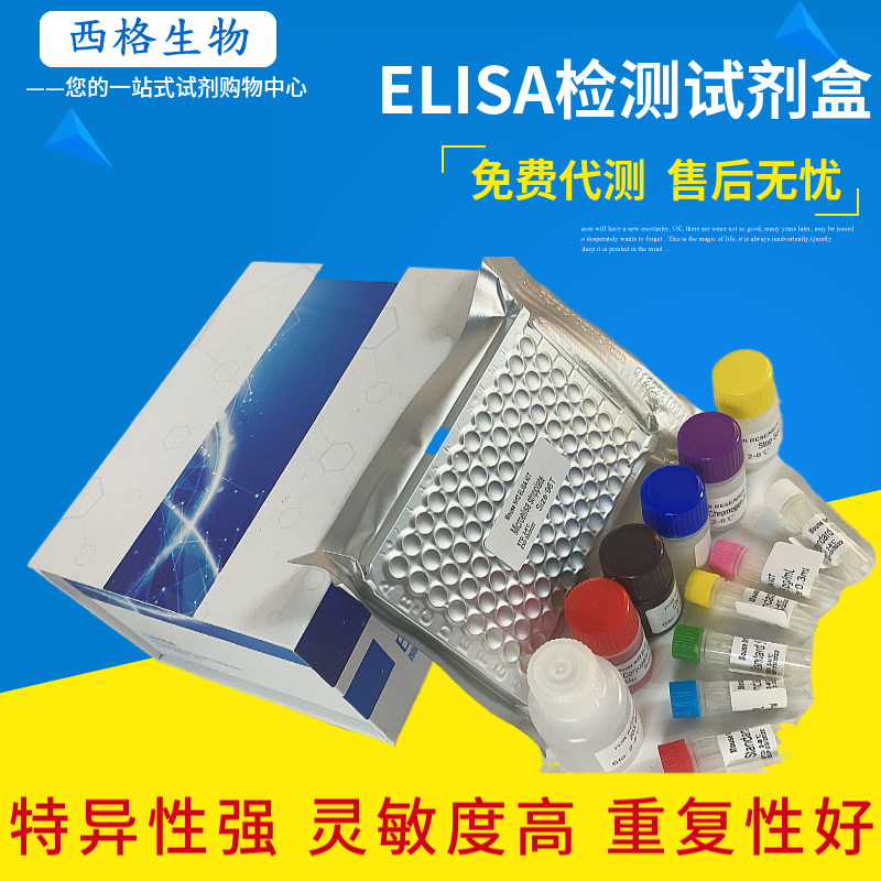 大鼠Endoglinelisa试剂盒