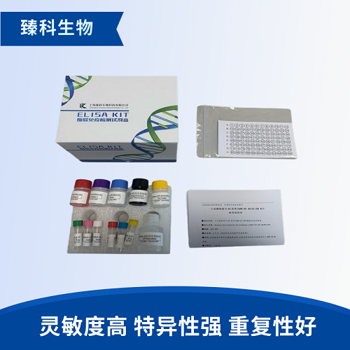 大鼠白介素12(IL-12)elisa试剂盒