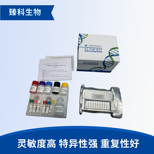 大鼠白介素12(IL-12;P40)elisa试剂盒