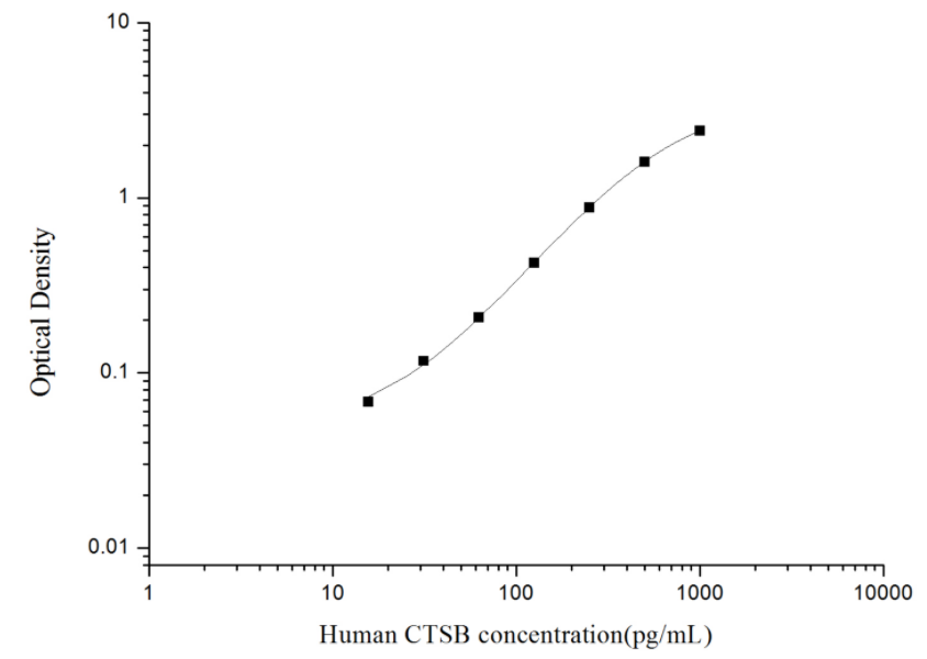 人组织蛋白酶B(CTSB)ELISA试剂盒 YB74052Hu
