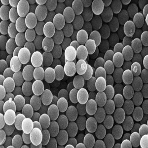 单分散多孔介孔二氧化硅微球，Monodisperse Mesoporous Silica Spheres 