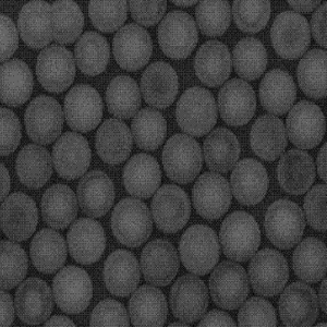 羧基化单分散多孔介孔二氧化硅微球，Carboxyl-functionalized Monodisperse Mesoporous Silica Microspheres