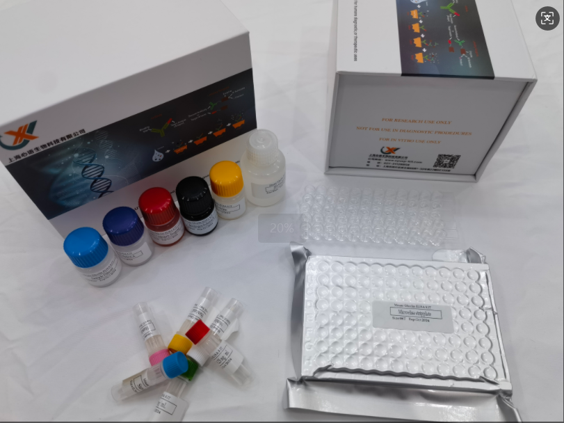 小鼠新冠(S-RBD)(XBB.1)分泌型IgAELISA试剂盒