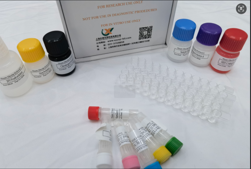 小鼠卵清蛋白特异性IgG2b (OVA-sIgG2b) ELISA试剂盒