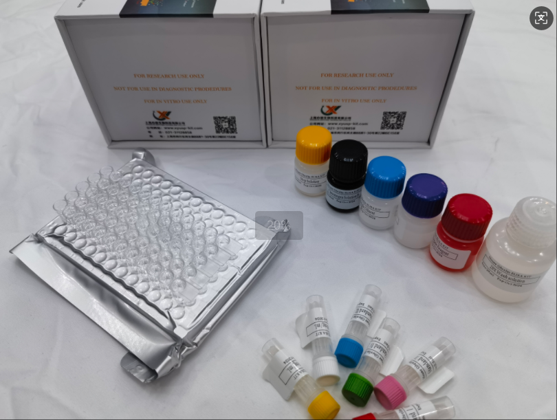 免费代测 小鼠组蛋白脱乙酰基酶3 (HDAC3) ELISA试剂盒