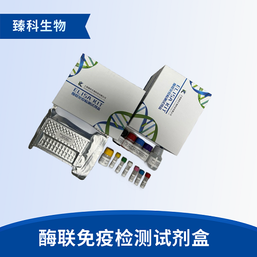 人甲状旁腺激素相关蛋白(PTHrP）elisa定量试剂盒