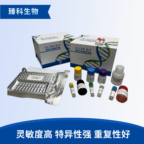 人甲状旁腺激素相关蛋白(PTHrP）elisa定量试剂盒