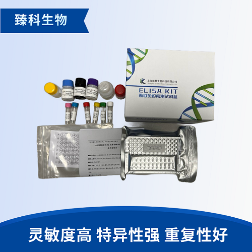 鱼热休克蛋白HSP90α(HSP90AA1)elisa试剂盒