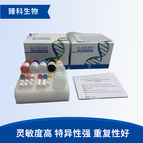 犬白介素5(IL-5）elisa试剂盒