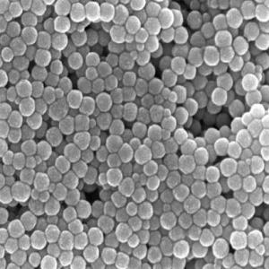 二氧化铪纳米颗粒,Hafnium Dioxide Nanoparticles