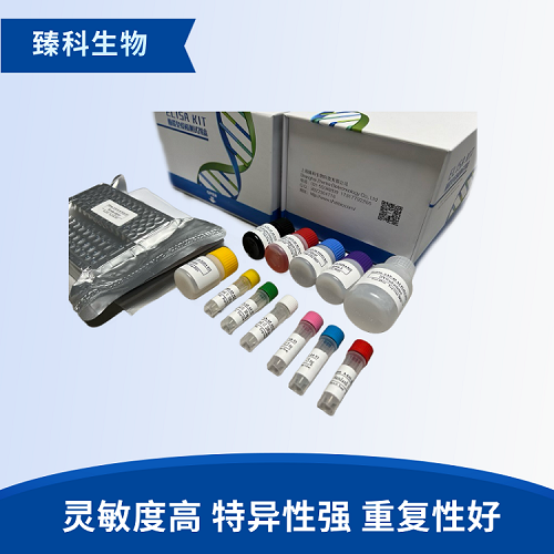 犬白介素5(IL-5）elisa试剂盒