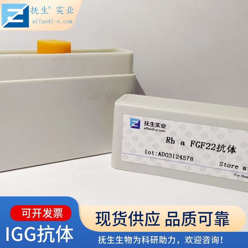 8-羟基脱氧鸟苷抗体