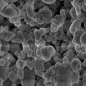 聚丁二酸丁二醇酯微球，PBS Microspheres，PBS微球