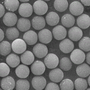 生物素修饰PBS微球，Biotin-modified PBS Microspheres
