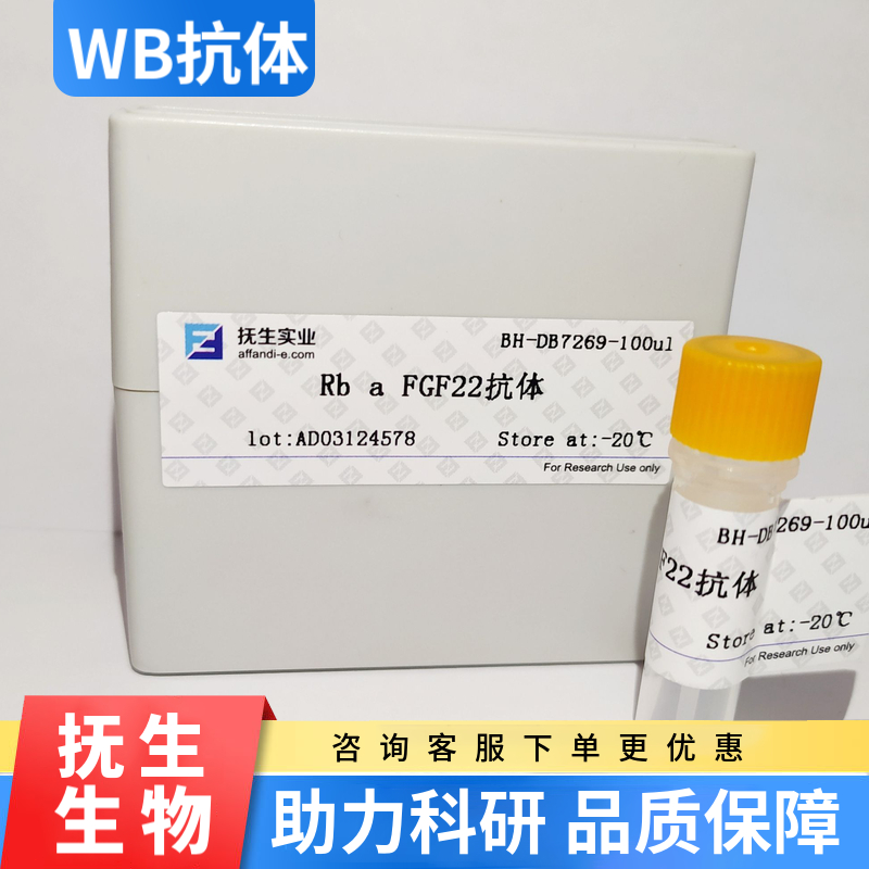 A型禽流感病毒H1N1蛋白抗体