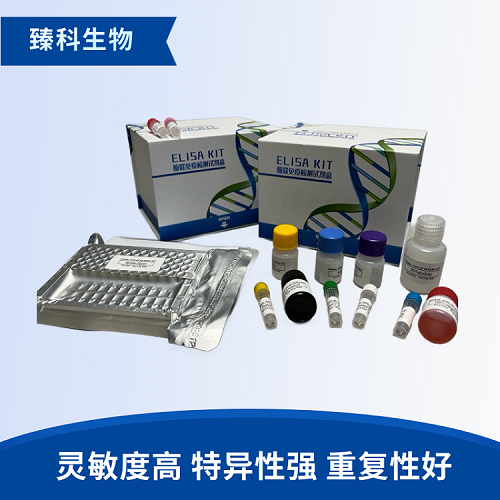 鱼糖原合成酶(GS）elisa试剂盒